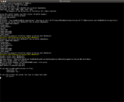 man-on-linux_boot.png