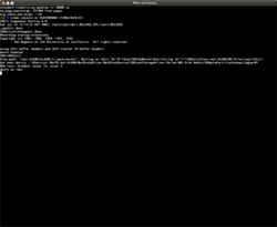 man-on-linux_boot3.png