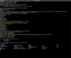 man-on-linux_boot2.png