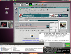 SuSE_Linux_5_QEMU_A1-X1000-2.png