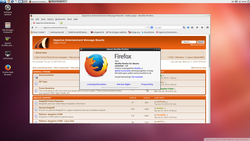 Firefox_30_Sam440ep.png