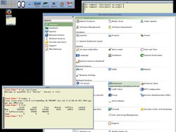 openSUSE_13.1_kernel_3.16_Sam440ep-Flex.jpg
