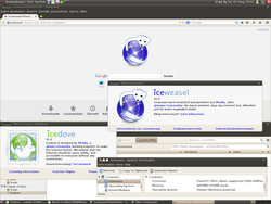 Iceweasel_32_and_Icedove_31.png