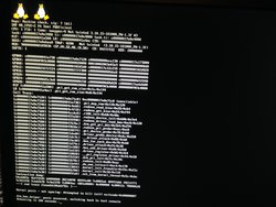 Linux kernel panic booting ubuntu remix with two pci-e cards installed in x1000