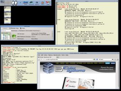 openSUSE_13.1_kernel_3.16.3_Sam440ep-Flex.jpg