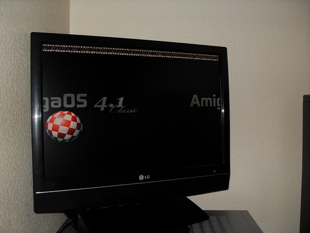 SDC10724.JPG