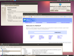 Netsurf_3.2_Ubuntu_10.04.4_A1-X1000.png