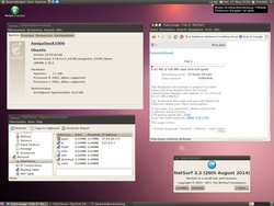 Kernel_3.18-rc5_Ubuntu_10.04.4_UMTS_new_Netsurf.jpg