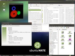 ubuntu_MATE_AMIGA_one_X1000.jpg