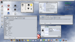 AMIGAOS_and_LINUX_NTFS_Shared_Partition.png