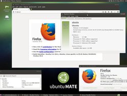 ubuntu_MATE_14.10_Firefox_35_AMIGA_one_X1000.jpg