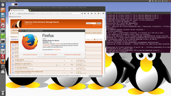 FireFox35.png
