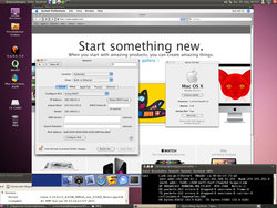 Kernel_3.19-rc5_Mac-on-Linux-KVM-PR_AMIGA_one_X1000.jpg