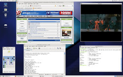 Gentoo_A1-X1000.jpg