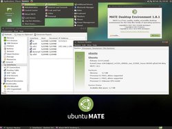 ubuntu_MATE_15.04_with_kernel_4.00alpha3_AMIGA_one_X1000.jpg