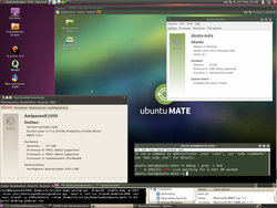 ubuntu_MATE_beta1_on_QEMU_PPC_KVM-PR_A1-X1000.jpg
