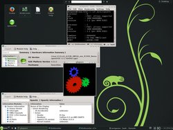 openSUSE_13.1-1_kernel_4.0-rc6_with_the_unofficial_Mesa_10.0.4.jpg