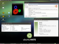 ubuntu_MATE_15.04_Beta2_PPC_kernel_4.0_with_Xorg_and_Mesa_downgrade_installation.png