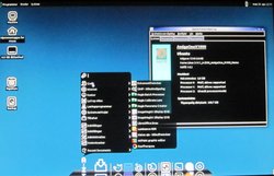 mate1504.jpg