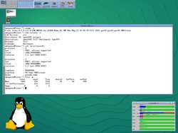openSUSE_13.2_PPC64_AMIGA_one_X1000-4.jpg