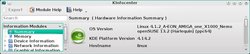 Kernel_4.1.2_openSUSE_13.2_PPC64_AMIGA_one_X1000.jpg