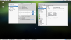 Sam460ex_EXT4_Root_Parition.png