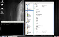 Kernel4.7 with my xorg.conf.radeon