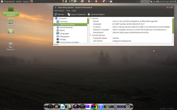 ubuntu-mate-remix-vmlinux-4.10.6.png
