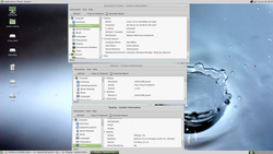 Debian_Unstable_Sam460ex.png