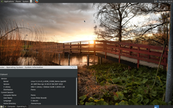 kernel 5.1.rc5.png