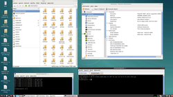 Debian-4.20.png
