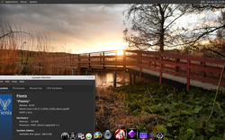 zimage.20.17.png