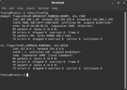 /sbin/ifconfig