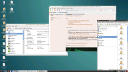 Debian-5.2-rc4.png
