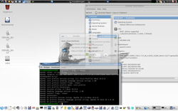 debian_glinfo.png