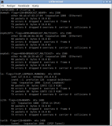 ifconfig.png