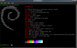 neowofetch_kernel6.17rc2.png