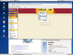 Arctic_Fox_46.2_Linux_PPC64.png
