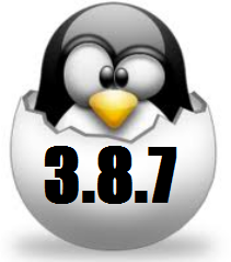 pic-kernel-3.8.7.png