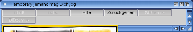 MultiView-Bug.png